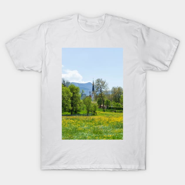 Flower meadow with fruit trees in spring, Bad Wiessee, Tegernsee T-Shirt by Kruegerfoto